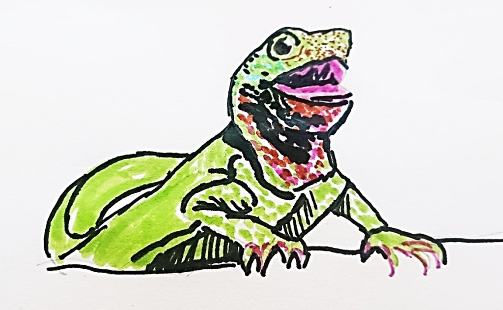 A pen illustration of a Chinese Water Dragon (a lizard).